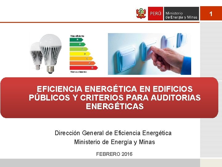 1 EFICIENCIA ENERGÉTICA EN EDIFICIOS PÚBLICOS Y CRITERIOS PARA AUDITORIAS ENERGÉTICAS Dirección General de