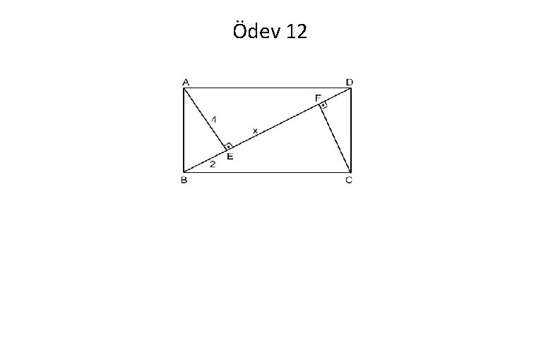 Ödev 12 