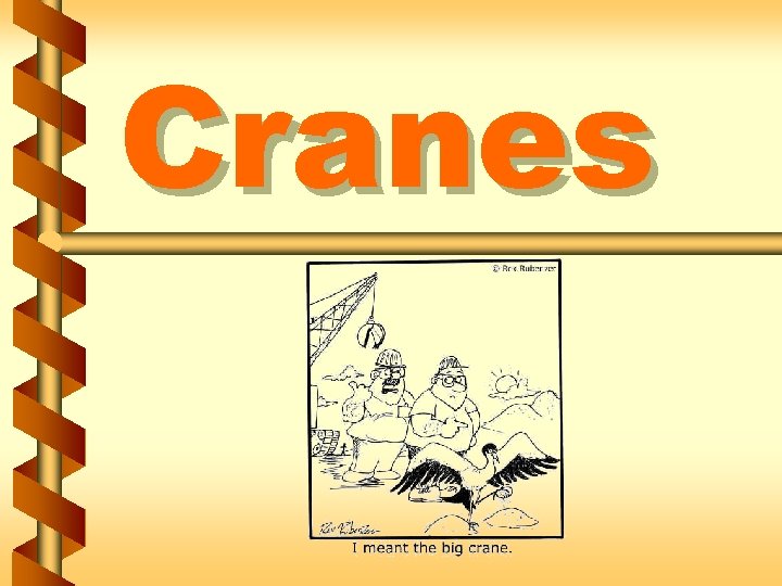 Cranes 