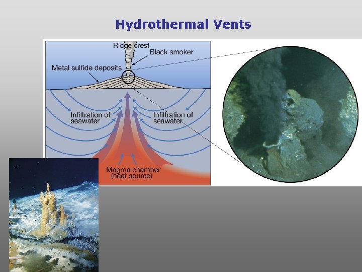 Hydrothermal Vents 