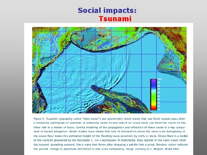 Social impacts: Tsunami 