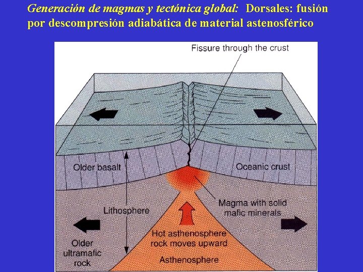 Generación de magmas y tectónica global: Dorsales: fusión por descompresión adiabática de material astenosférico