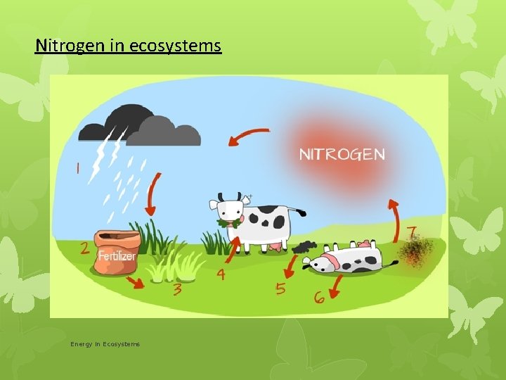 Nitrogen in ecosystems Energy in Ecosystems 