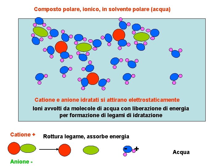 Composto polare, ionico, in solvente polare (acqua) Catione e anione idratati si attirano elettrostaticamente