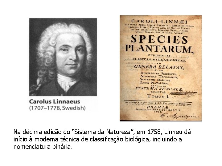 Na décima edição do “Sistema da Natureza”, em 1758, Linneu dá início à moderna