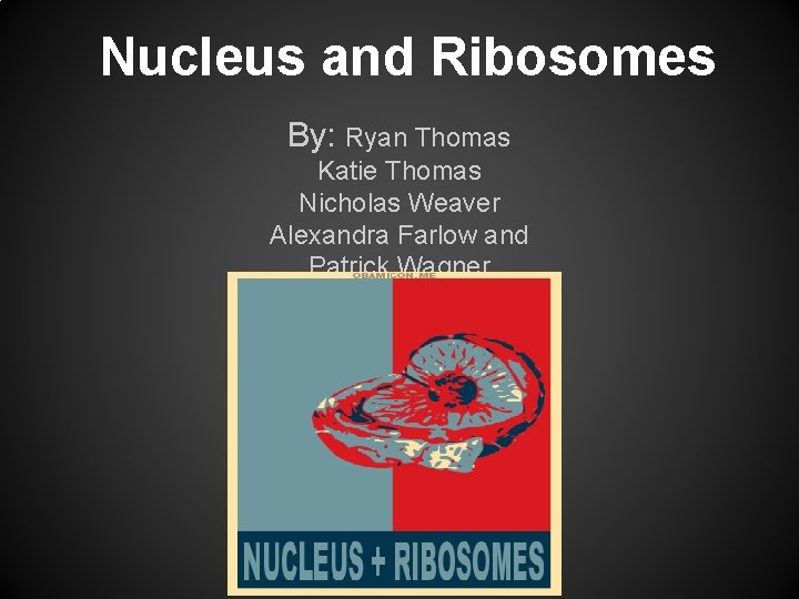 Nucleus and Ribosomes By: Ryan Thomas Katie Thomas Nicholas Weaver Alexandra Farlow and Patrick