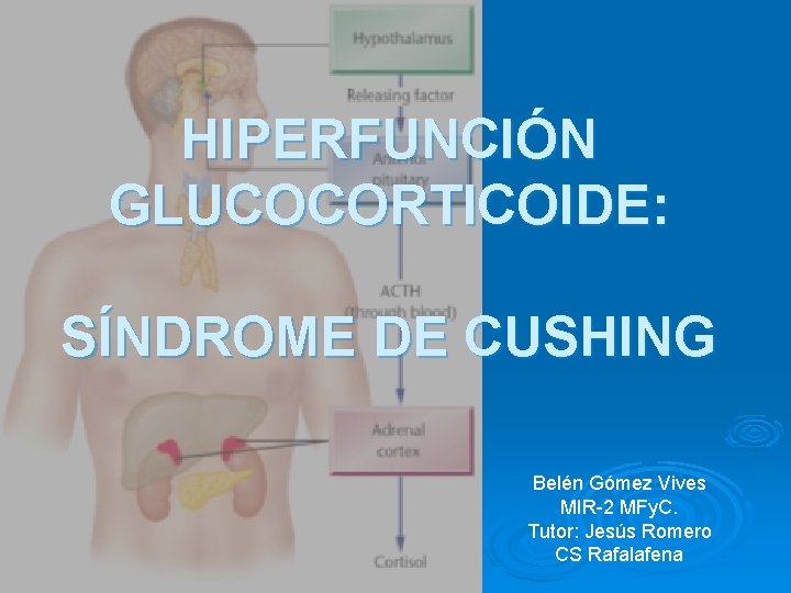 HIPERFUNCIÓN GLUCOCORTICOIDE: SÍNDROME DE CUSHING Belén Gómez Vives MIR-2 MFy. C. Tutor: Jesús Romero