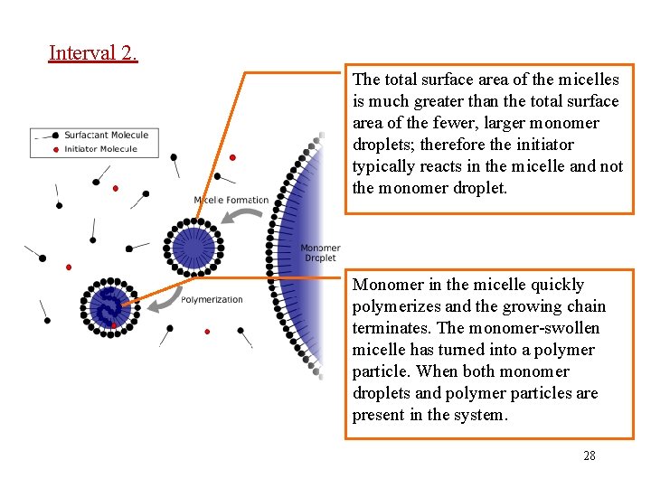 Interval 2. The total surface area of the micelles is much greater than the