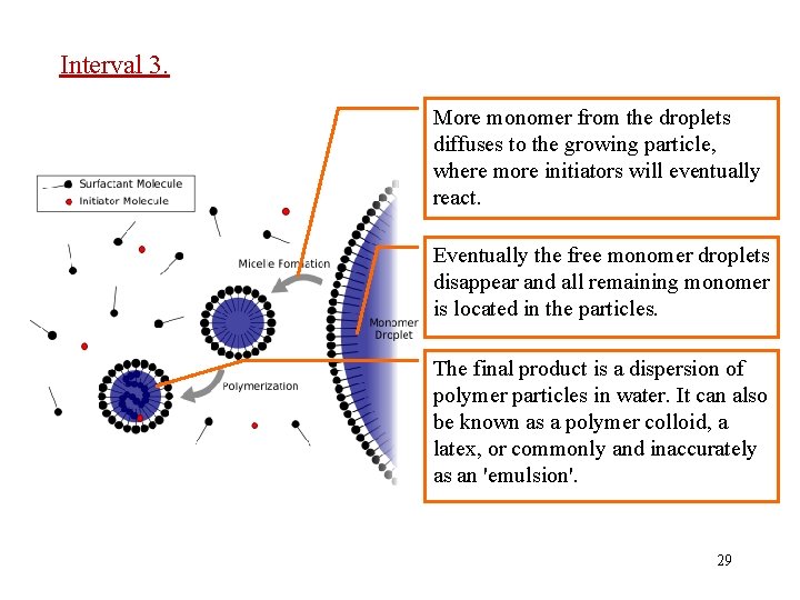 Interval 3. More monomer from the droplets diffuses to the growing particle, where more