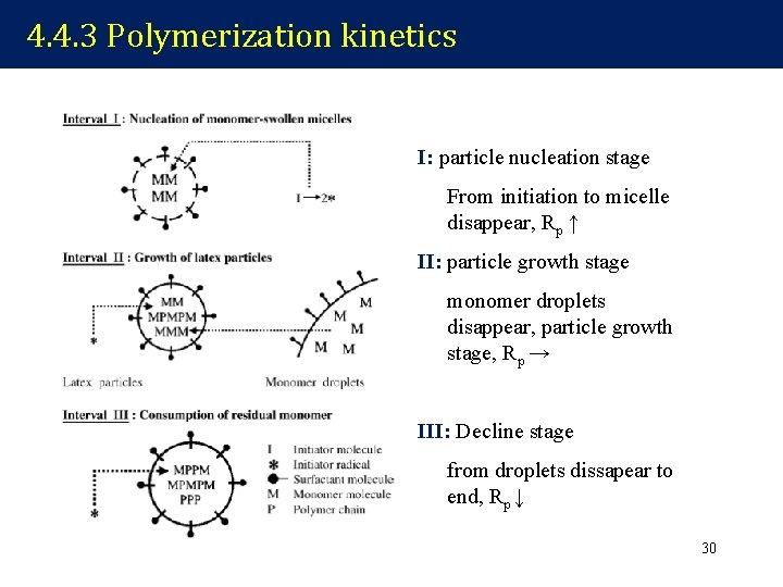 4. 4. 3 Polymerization kinetics I: particle nucleation stage From initiation to micelle disappear,