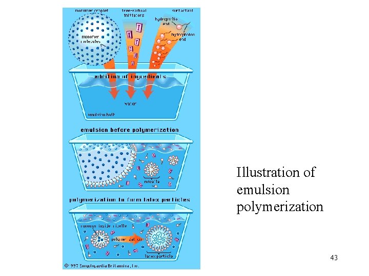 Illustration of emulsion polymerization 43 