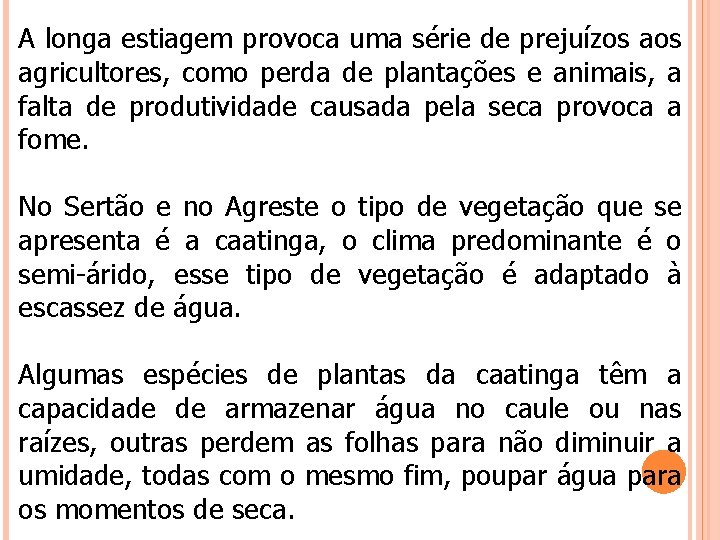 A longa estiagem provoca uma série de prejuízos agricultores, como perda de plantações e