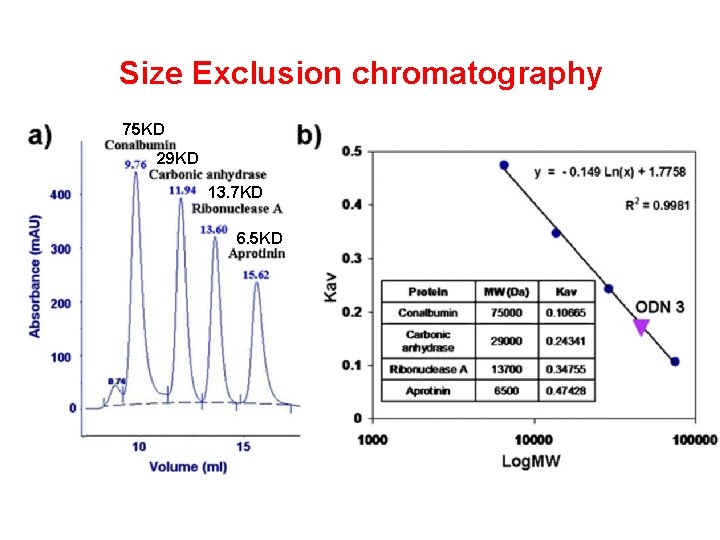 Size Exclusion chromatography 75 KD 29 KD 13. 7 KD 6. 5 KD 