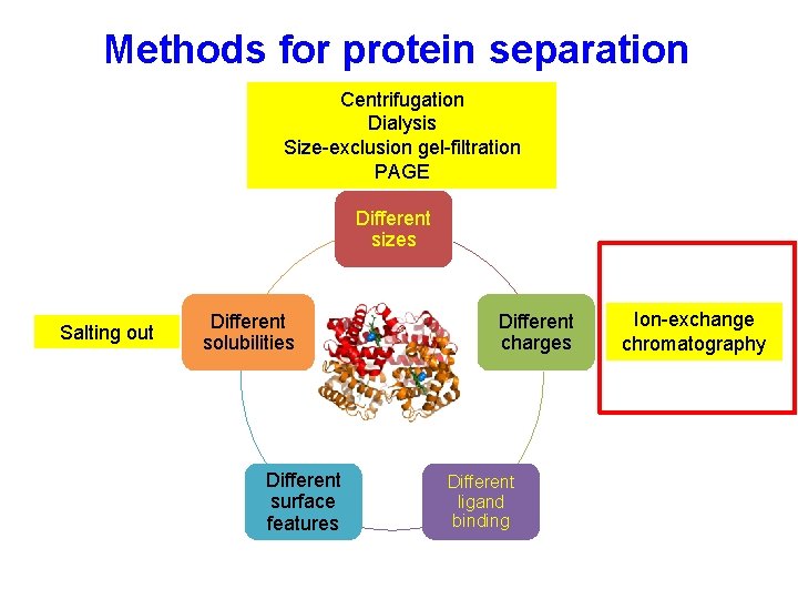 Methods for protein separation Centrifugation Dialysis Size-exclusion gel-filtration PAGE Different sizes Salting out Different