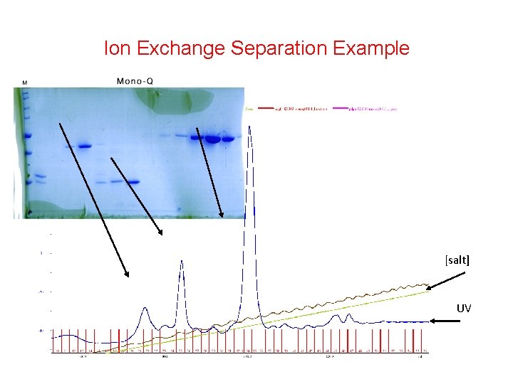 Ion Exchange Separation Example [salt] UV 