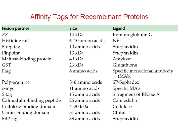 Affinity Tags for Recombinant Proteins 