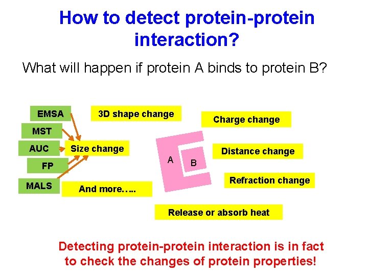 How to detect protein-protein interaction? What will happen if protein A binds to protein