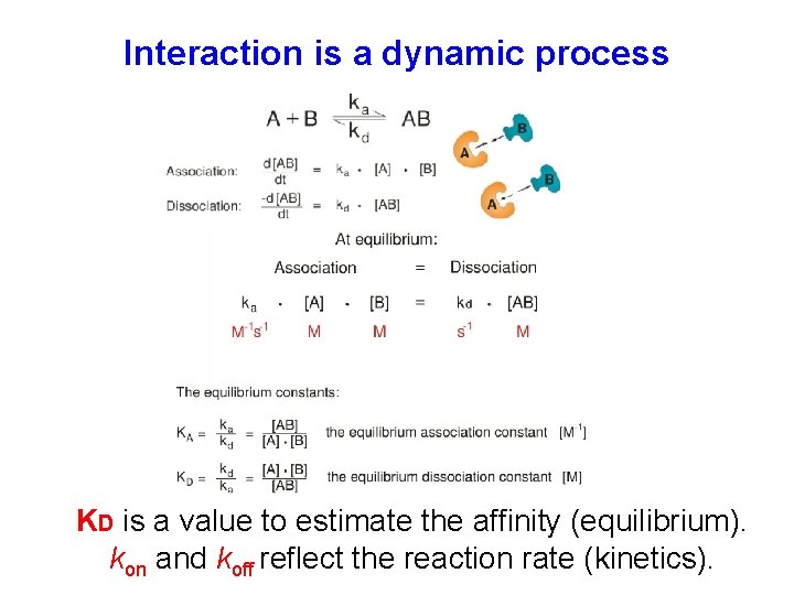 Interaction is a dynamic process KD is a value to estimate the affinity (equilibrium).