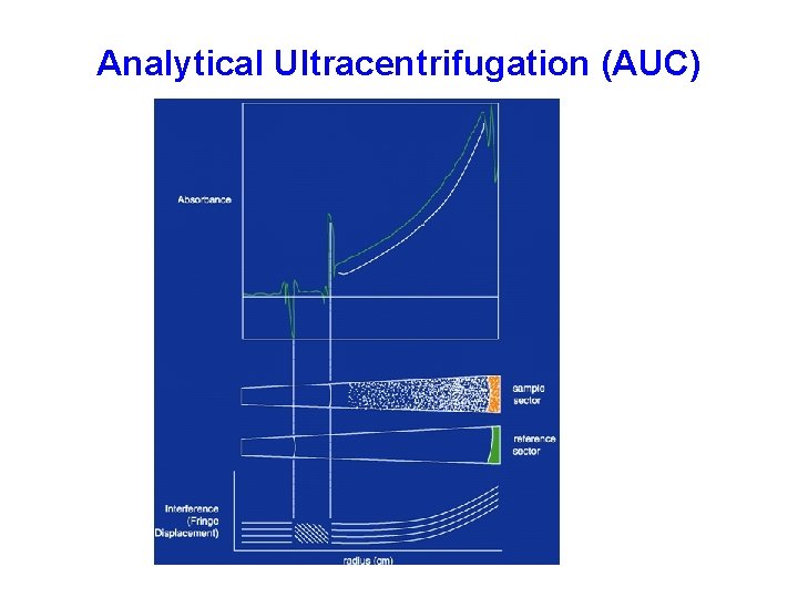 Analytical Ultracentrifugation (AUC) 