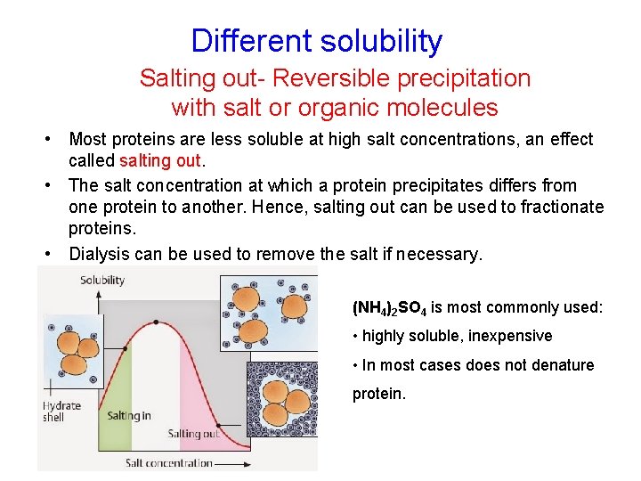 Different solubility Salting out- Reversible precipitation with salt or organic molecules • Most proteins