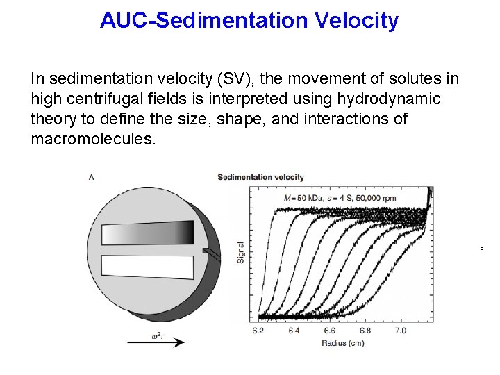 AUC-Sedimentation Velocity In sedimentation velocity (SV), the movement of solutes in high centrifugal fields