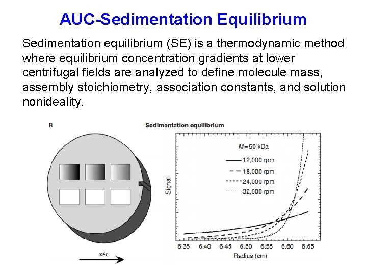 AUC-Sedimentation Equilibrium Sedimentation equilibrium (SE) is a thermodynamic method where equilibrium concentration gradients at