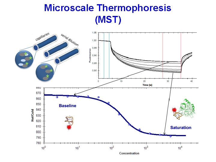 Microscale Thermophoresis (MST) Microscale Thermophoresis (MST)