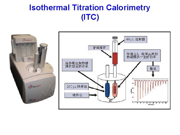 Isothermal Titration Calorimetry (ITC) 