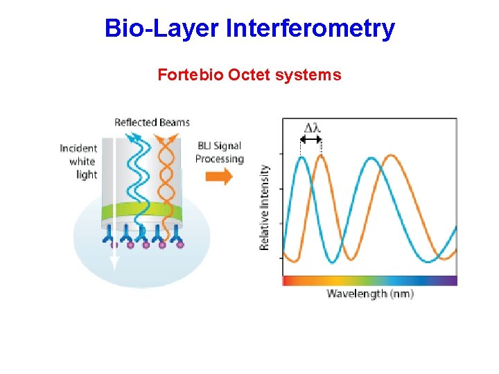  Bio-Layer Interferometry Fortebio Octet systems 