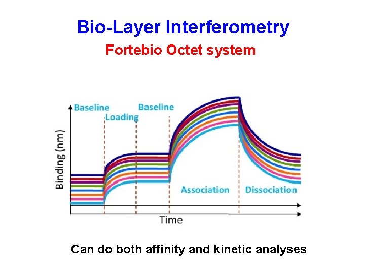  Bio-Layer Interferometry Fortebio Octet system Can do both affinity and kinetic analyses 