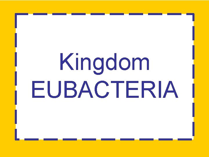 Kingdom EUBACTERIA 