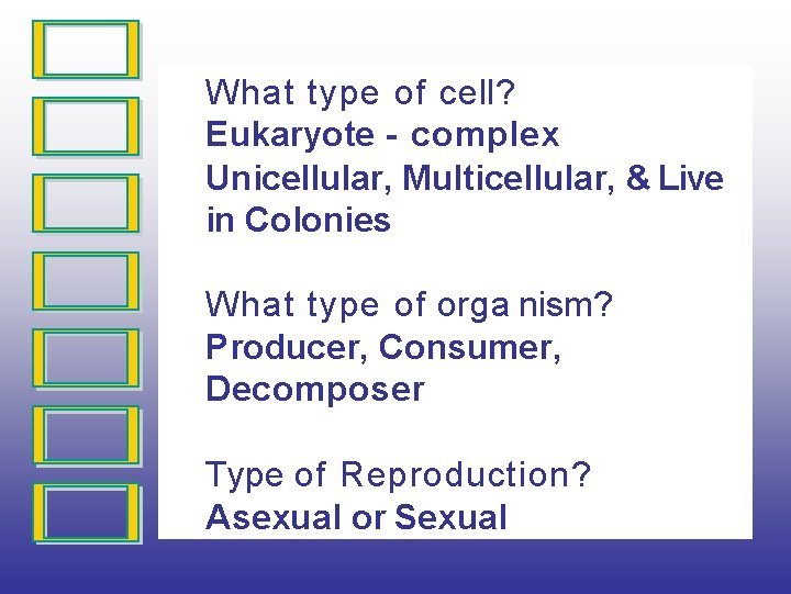 What type of cell? Eukaryote - complex Unicellular, Multicellular, & Live in Colonies What