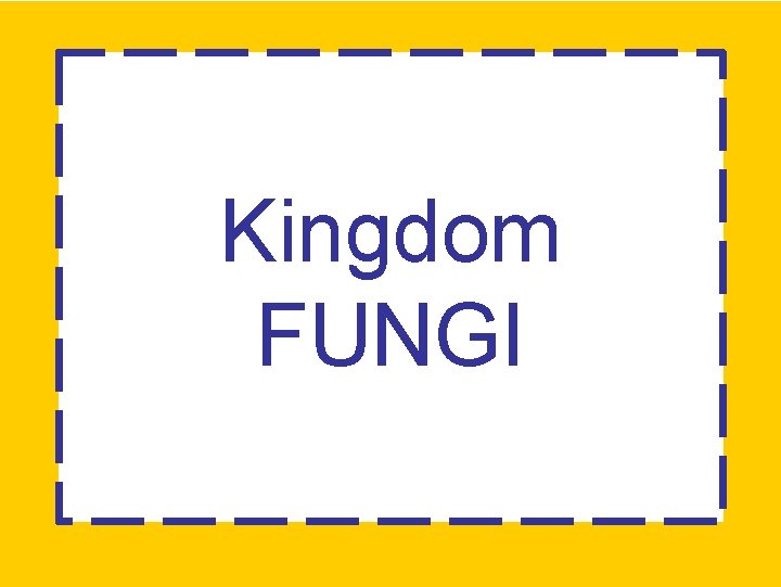Kingdom FUNGI 