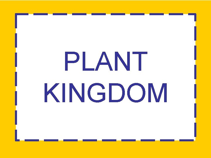 PLANT KINGDOM 