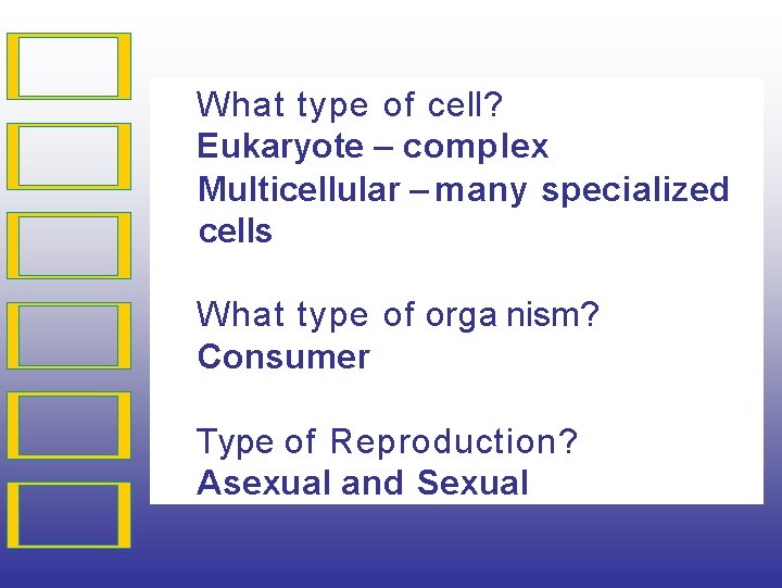 What type of cell? Eukaryote – complex Multicellular – many specialized cells What type