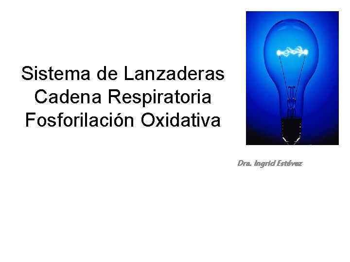Sistema de Lanzaderas Cadena Respiratoria Fosforilación Oxidativa Dra. Ingrid Estévez 