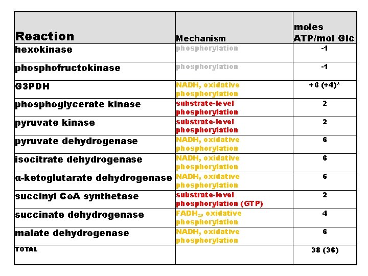 Reaction Mechanism phosphofructokinase phosphorylation G 3 PDH NADH, oxidative phosphorylation substrate-level phosphorylation NADH, oxidative