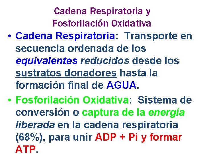 Cadena Respiratoria y Fosforilación Oxidativa • Cadena Respiratoria: Transporte en secuencia ordenada de los