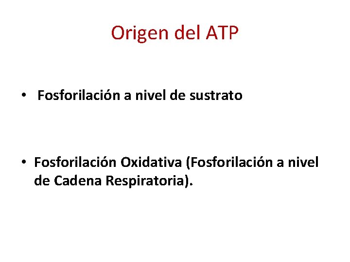 Origen del ATP • Fosforilación a nivel de sustrato • Fosforilación Oxidativa (Fosforilación a