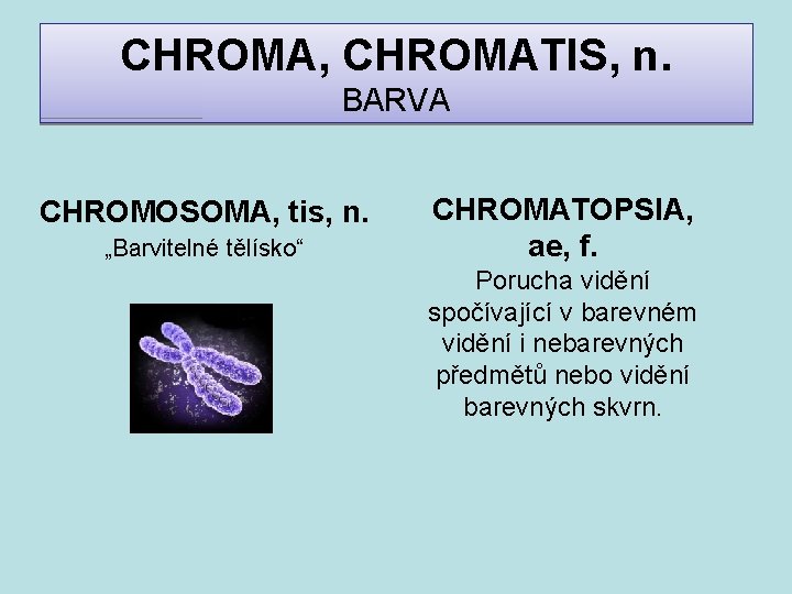 CHROMA, CHROMATIS, n. BARVA CHROMOSOMA, tis, n. „Barvitelné tělísko“ CHROMATOPSIA, ae, f. Porucha vidění