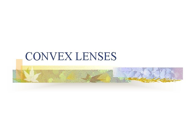 CONVEX LENSES 