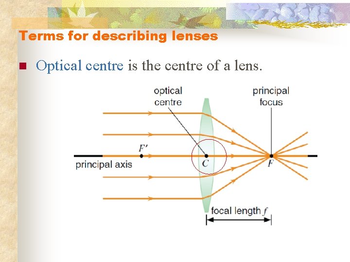 Terms for describing lenses n Optical centre is the centre of a lens. 