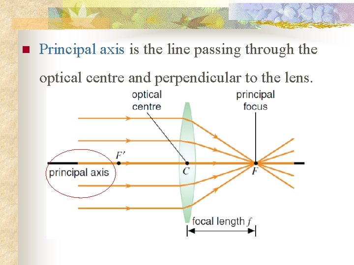 n Principal axis is the line passing through the optical centre and perpendicular to