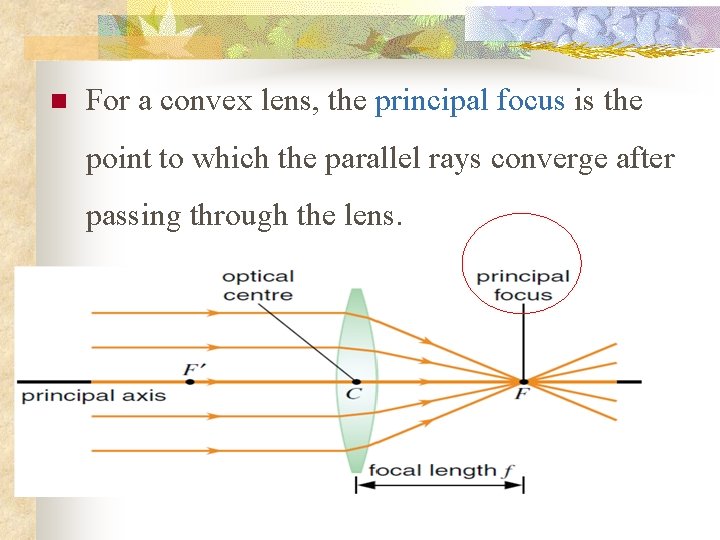 n For a convex lens, the principal focus is the point to which the