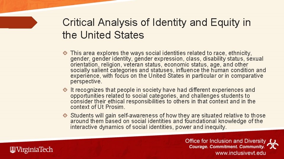 Critical Analysis of Identity and Equity in the United States This area explores the