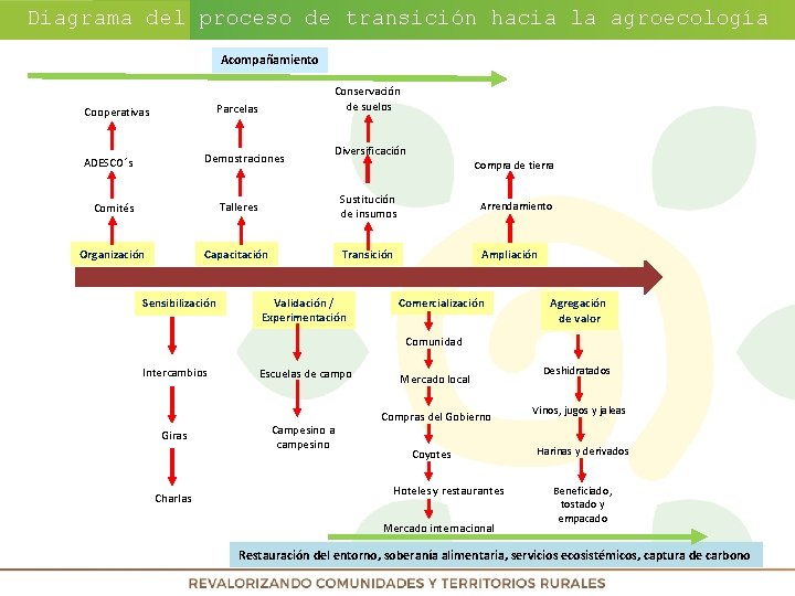 Diagrama del proceso de transición hacia la agroecología Acompañamiento Conservación de suelos Parcelas Cooperativas