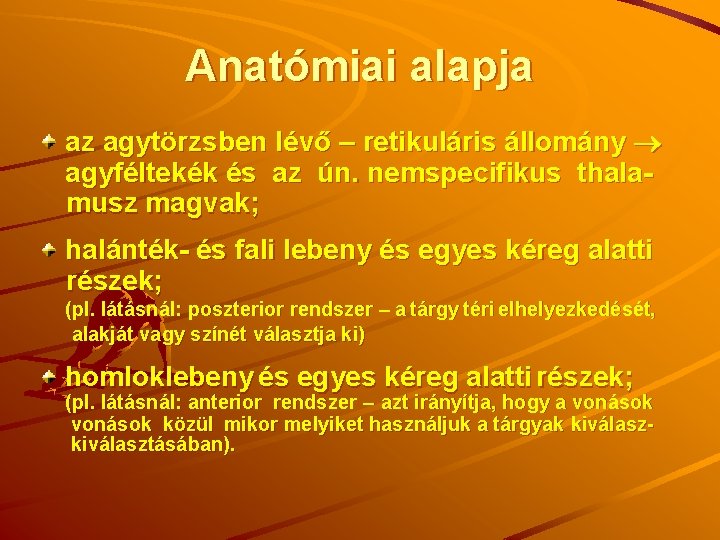 Anatómiai alapja az agytörzsben lévő – retikuláris állomány agyféltekék és az ún. nemspecifikus thalamusz