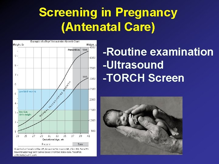 Screening in Pregnancy (Antenatal Care) -Routine examination -Ultrasound -TORCH Screen Screening in Pregnancy (Antenatal Care) -Routine examination -Ultrasound -TORCH Screen