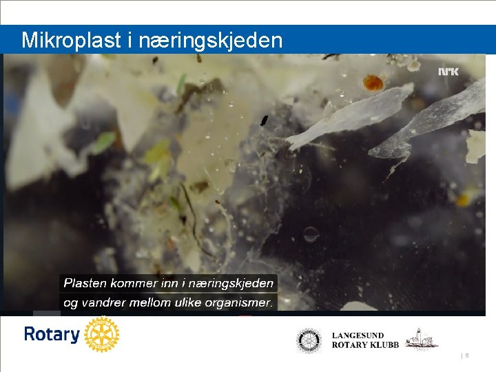 Mikroplast i næringskjeden | 8 