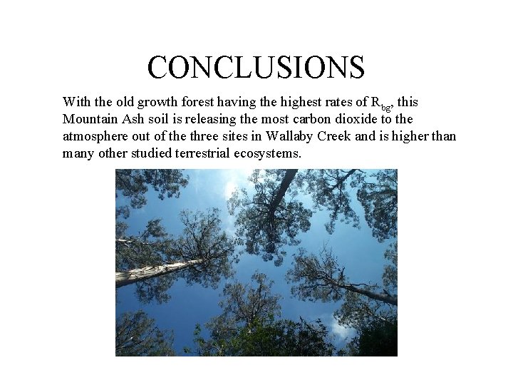 CONCLUSIONS With the old growth forest having the highest rates of Rbg, this Mountain
